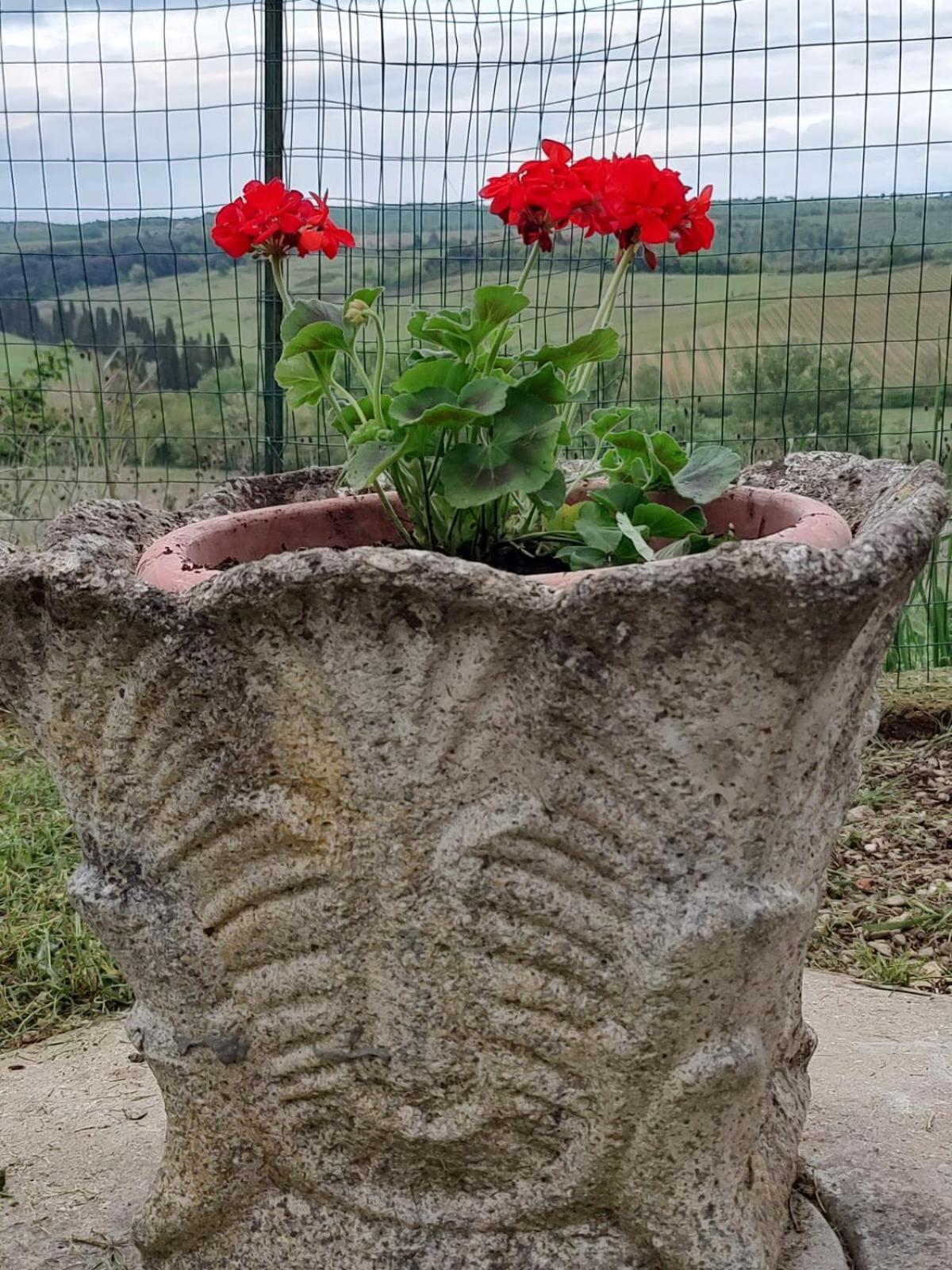 Апартаменты Il Giardino Del Chianti Сиена Экстерьер фото
