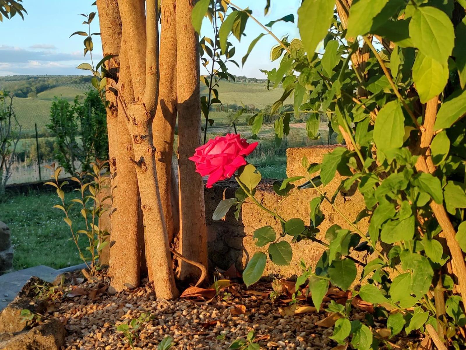 Апартаменты Il Giardino Del Chianti Сиена Экстерьер фото