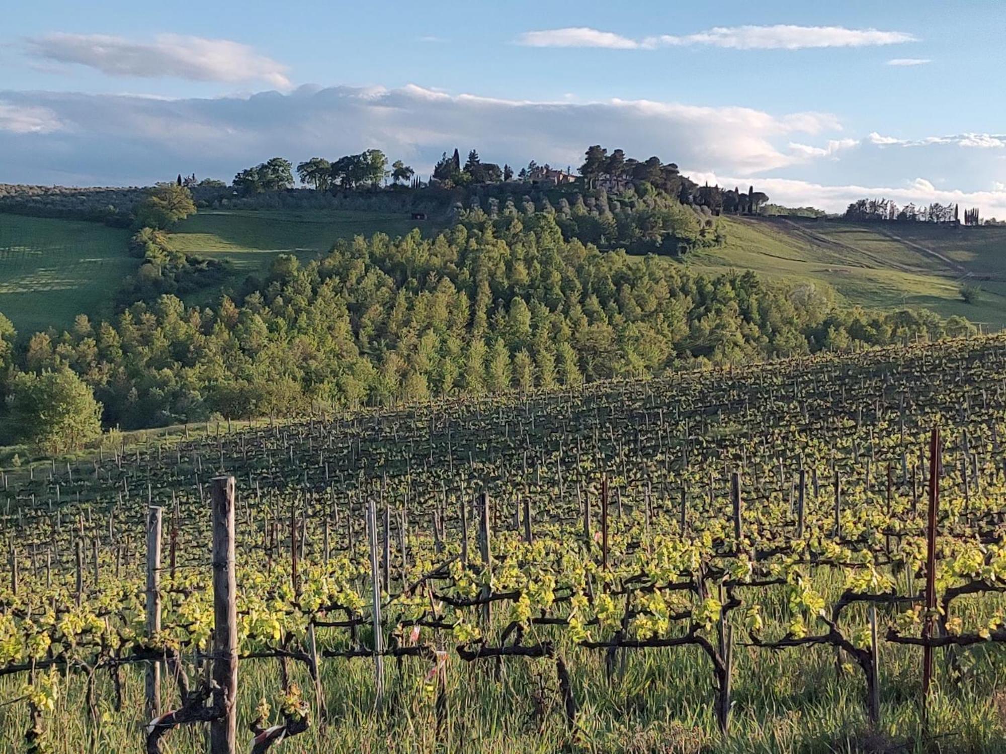Апартаменты Il Giardino Del Chianti Сиена Экстерьер фото